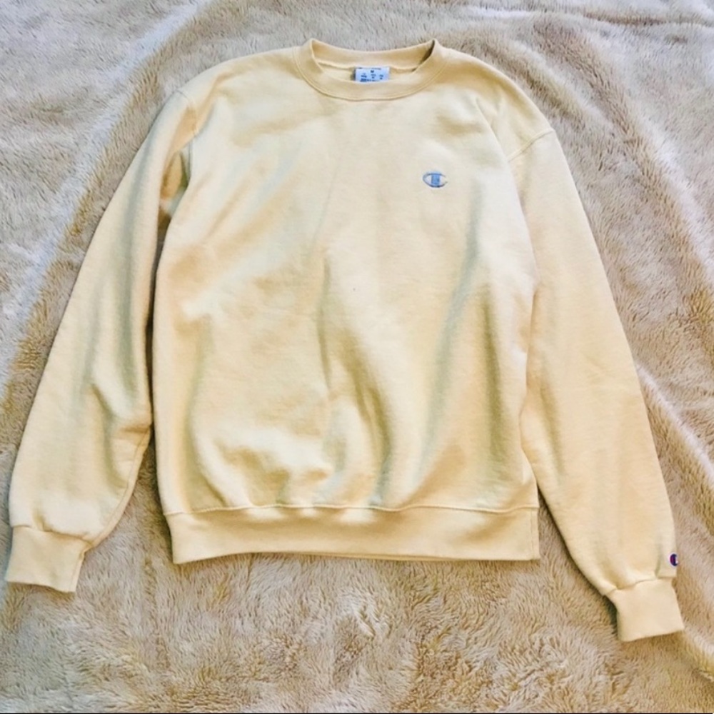 Champion Urban Outfitter Vintage Crewneck Shirt